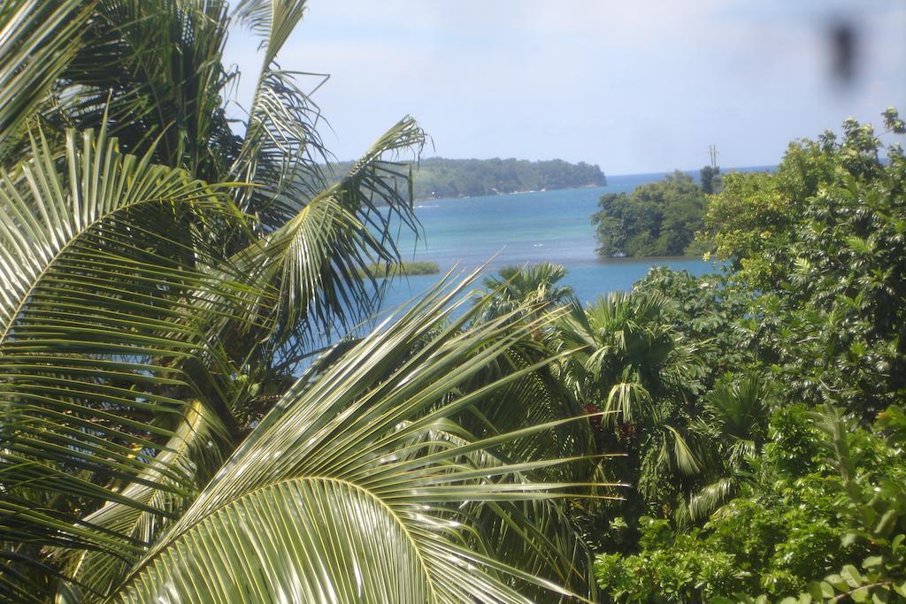 Finjam Cottage Port Antonio Kültér fotó
