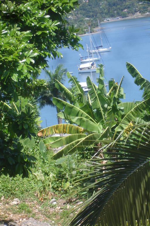 Finjam Cottage Port Antonio Kültér fotó